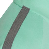 TAO Sportswear - DIANTHA - Warme Sweatjacke mit Stehkragen und seitlichen Eingrifftaschen aus Bio-Baumwolle - neo mint